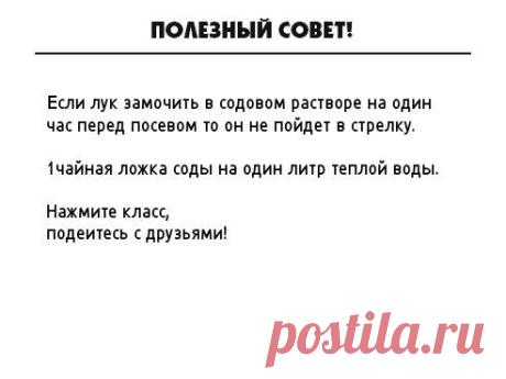 (94) Одноклассники