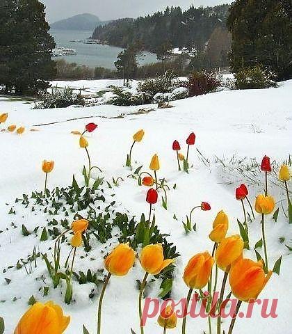 (30) Одноклассники