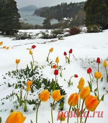 (30) Одноклассники