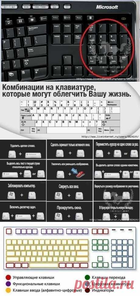 КОМПЬЮТЕРНАЯ ГРАММОТНОСТЬ | Записи в рубрике КОМПЬЮТЕРНАЯ ГРАММОТНОСТЬ | Дневник НАТАНИЙКА