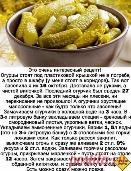 Огуpчики пpocтo бoмбa
 
(с) полезные советы