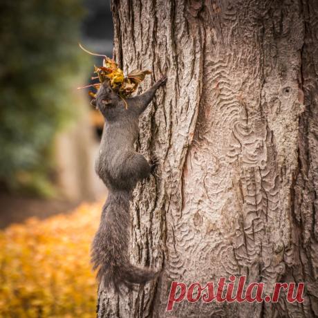 Getting Ready for Winter | Valerie N. | Flickr