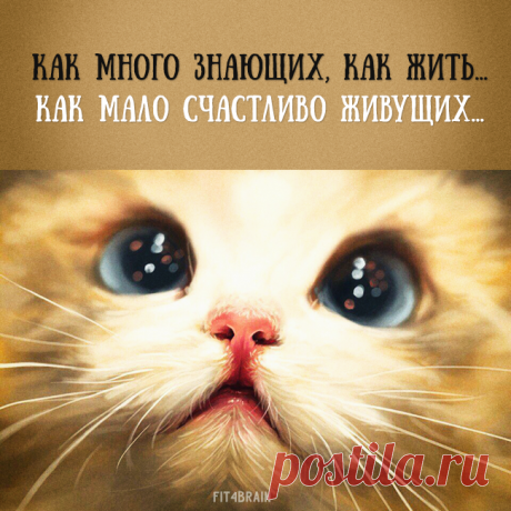 Точно!