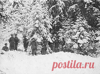 Группа военных в зимнем лесу / История цивилизаций!
