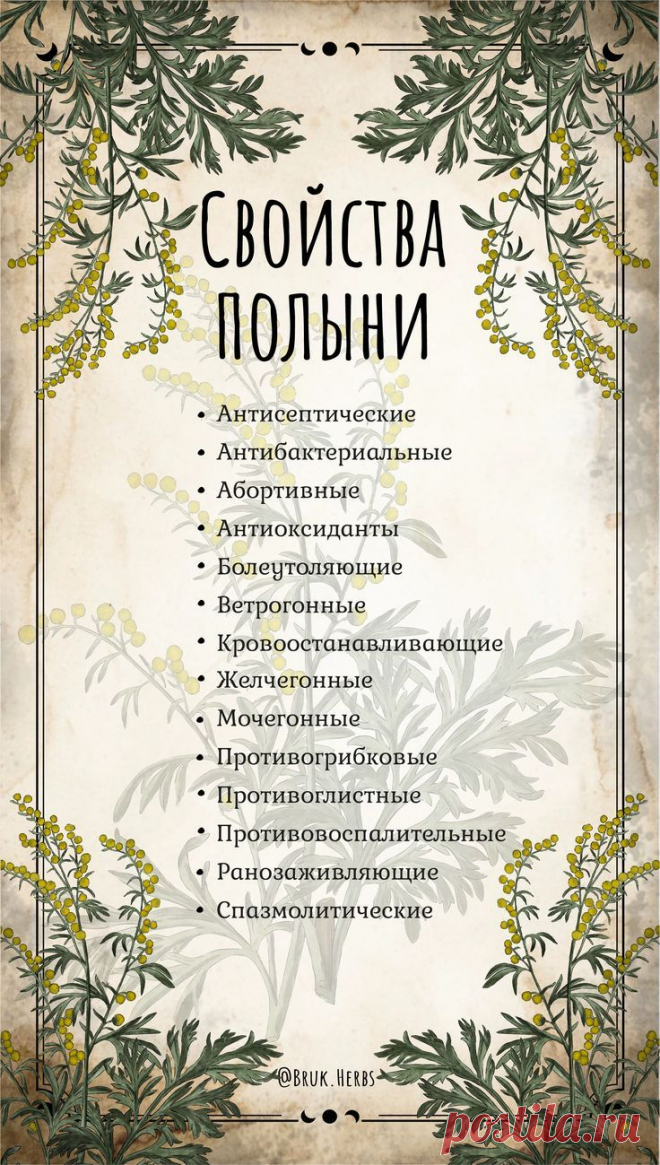 Свойства полыни
