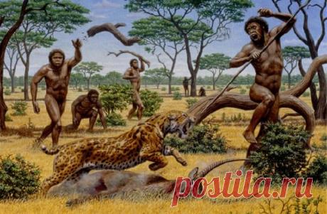 Археологи Китая утверждают, что предки современных людей жили в Азии 2,1 млн лет назад | Наука и технологии