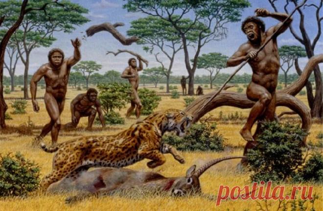 Археологи Китая утверждают, что предки современных людей жили в Азии 2,1 млн лет назад | Наука и технологии