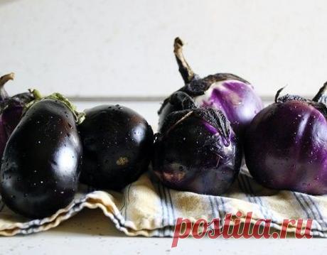 Рецепт на выходные. Вкусные идеи с баклажанами