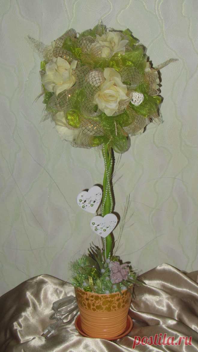 Топиарий ночник!