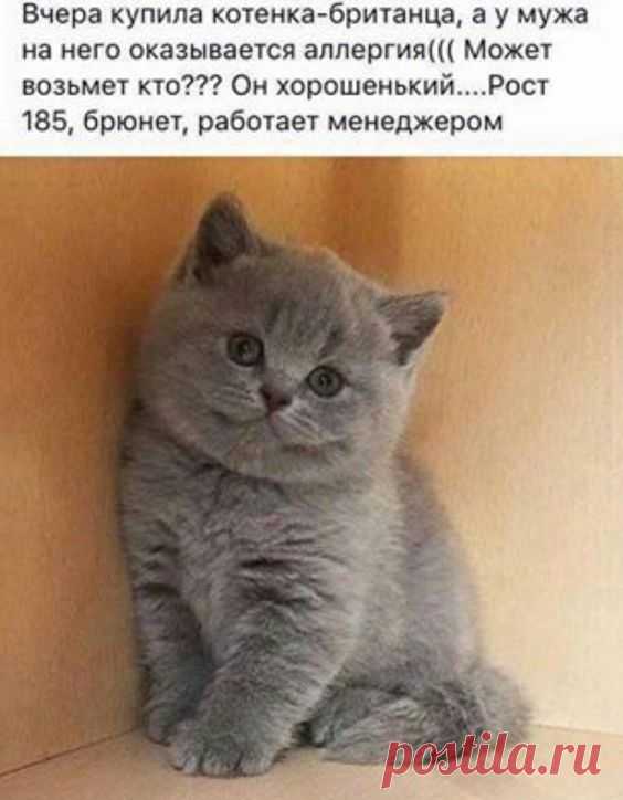 Мать вернулась с родительского собрания. Влетело и отцу и сыну... Наркоман дома жарит мясо, дым коромыслом, соседи пожарников вызвали. Звонок в дверь, наркоман открывает: - Вы кто? - Мы пожарные! - А... так пожарьте мне мясо! - Да мы-ж не жарим, мы тушим. - Так потушите...