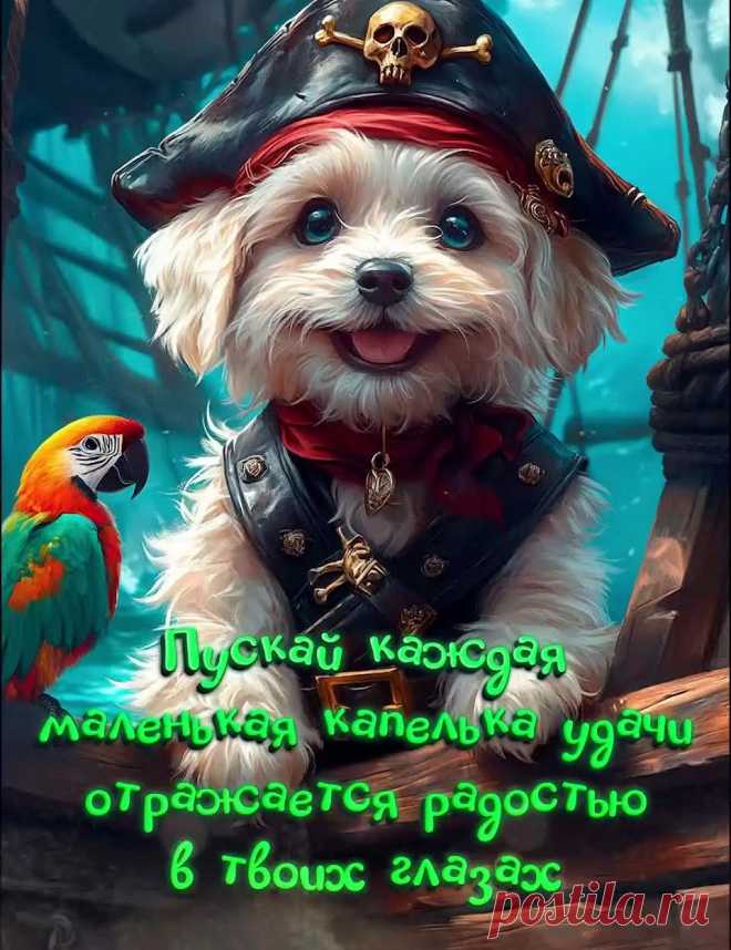 Прикольная картинка доброго дня с собакой