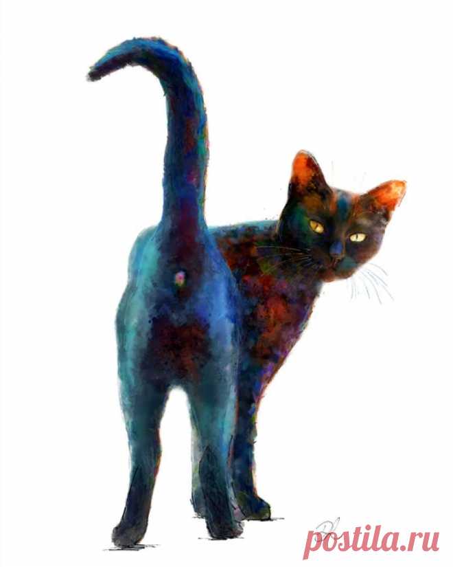 Black And Proud Digital Art (Giclée) by Denise Laurent A black cat stands and looks back at us over his shoulder. I like this cheeky pose, this is my boy Harry in his slimmer days. I thought I’d call it ‘Black and Proud’ because black cats are so often ov...