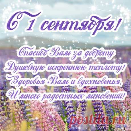 С Днём знаний вас, учителя,
От всей души мы поздравляем.