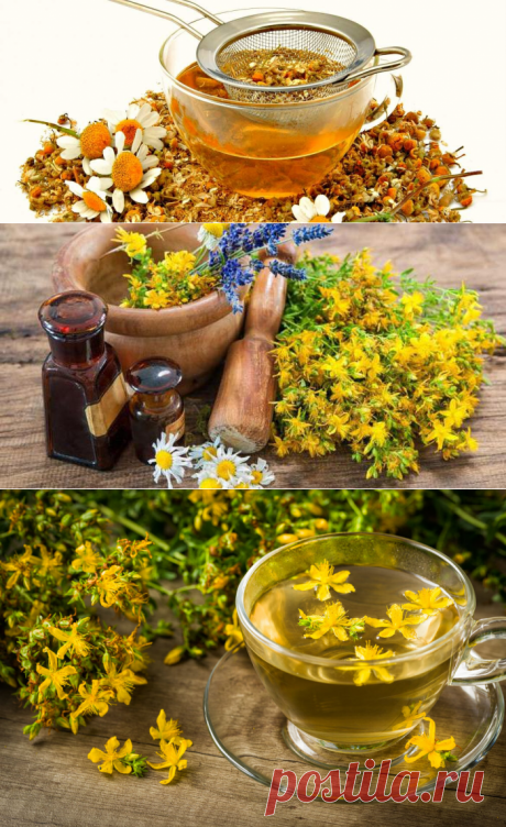 Рецепты из трав