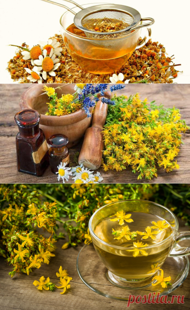 Рецепты из трав