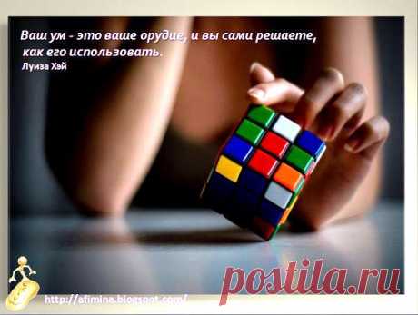 (2) Лицо бизнеса