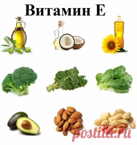 Продукты богатые витамином Е