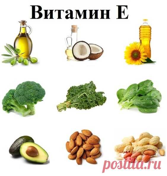 Продукты богатые витамином Е
