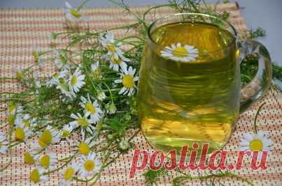 Чай из ромашки. Свойства. Чем полезен ромашковый чай? | Cofete.ru