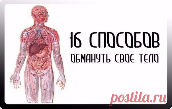 16 СПОСОБОВ ОБМАНУТЬ СВОЕ ТЕЛО | Женский журнал