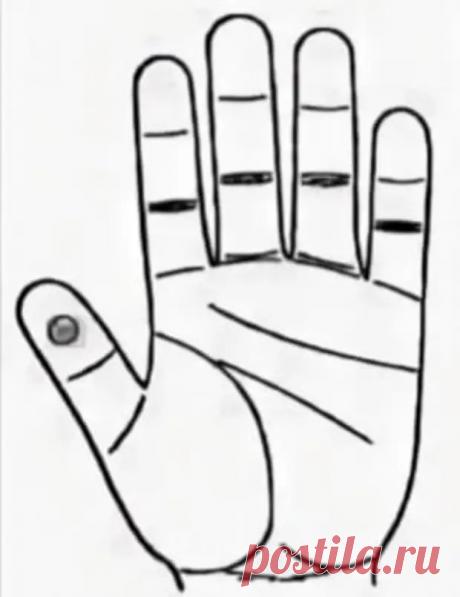 МАССАЖ ПРИ НАСМОРКЕ - Домоводство - 26 декабря - 43999313076 - Медиаплатформа МирТесен