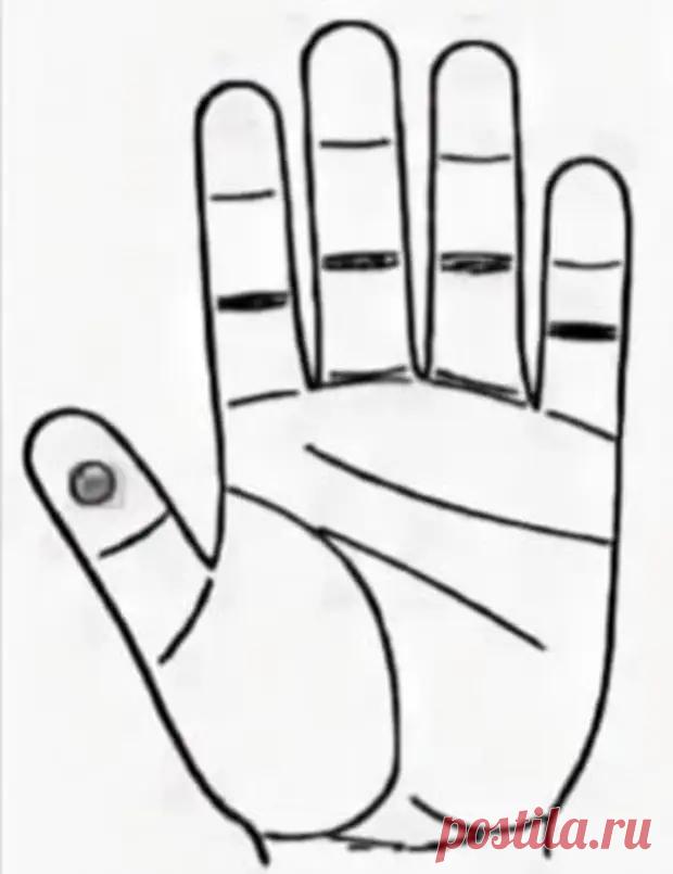 МАССАЖ ПРИ НАСМОРКЕ - Домоводство - 26 декабря - 43999313076 - Медиаплатформа МирТесен