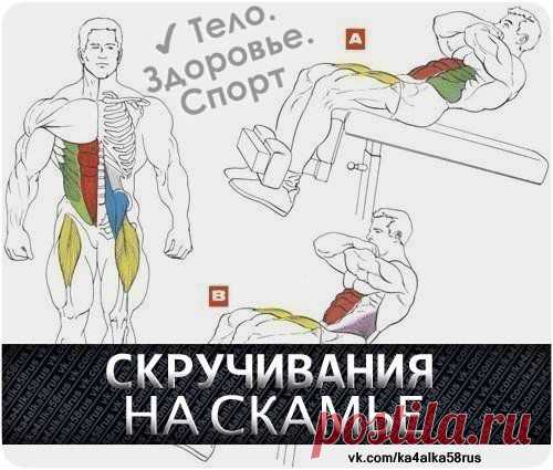 Упражнение для пресса / Спорт Сильных!