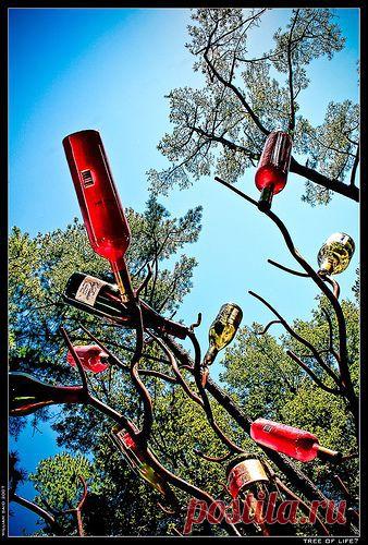 Jared Hoffarth приколол(а) это к доске home and garden