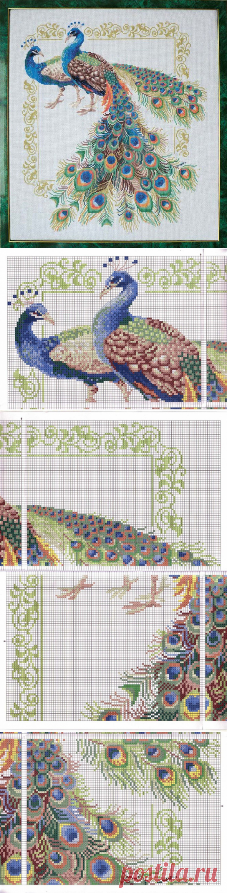 Павлины крестом