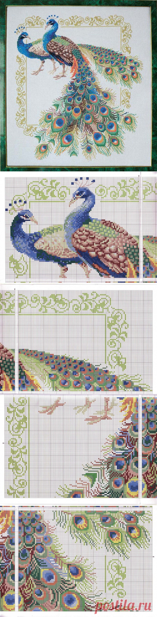 Павлины крестом