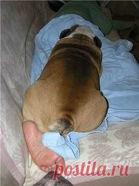 (73) Одноклассники