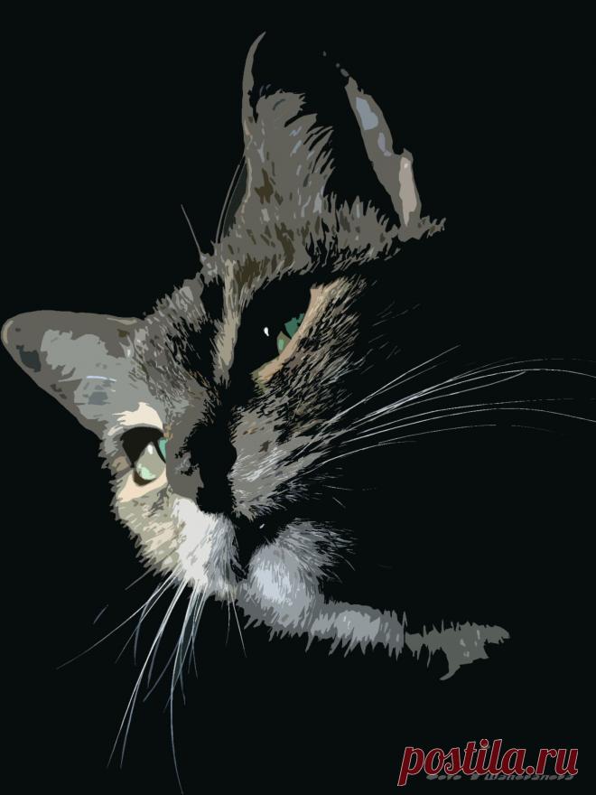 Фотографика.