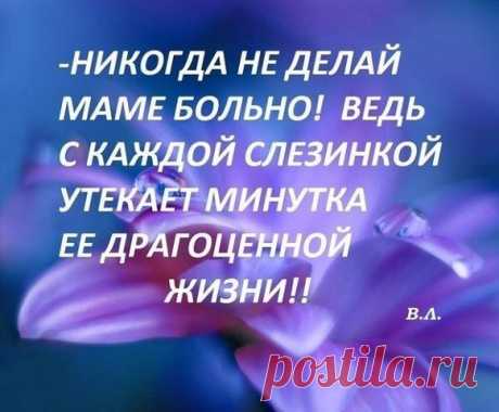 (5) Мой Мир@Mail.Ru
