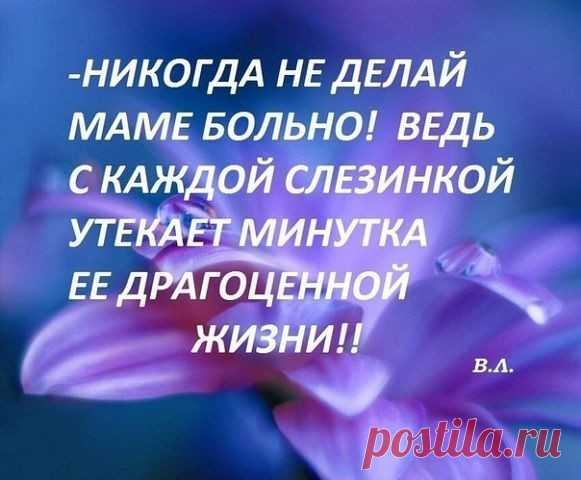 (5) Мой Мир@Mail.Ru