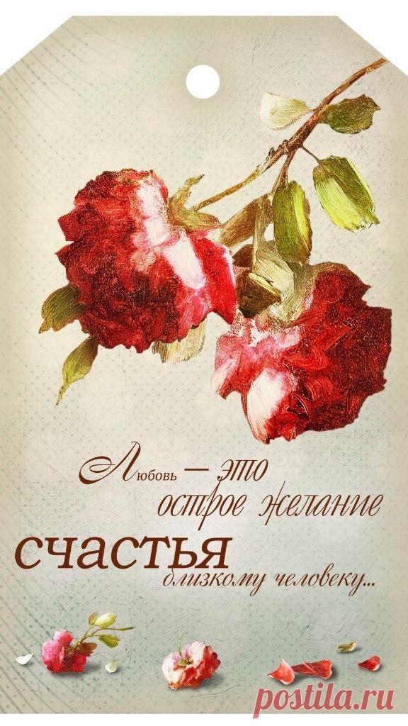 uYoo4AnaJi8.jpg (576×1024)