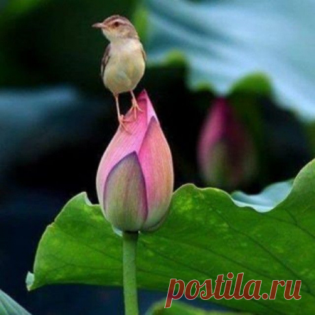 Вячеслав Ананьев (@anan.1960) • Фото и видео в Instagram