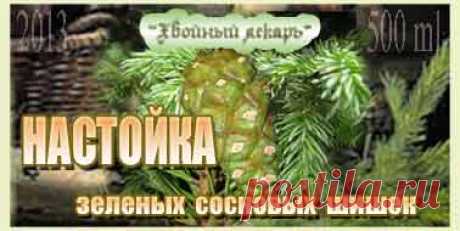 Настойка зеленых сосновых шишек от кашля - Хвойный лекарь