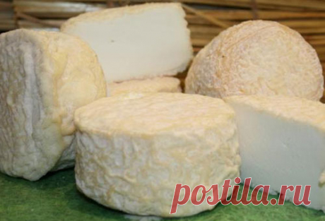 Сыр Шевр в домашних условиях. Рецепт приготовления