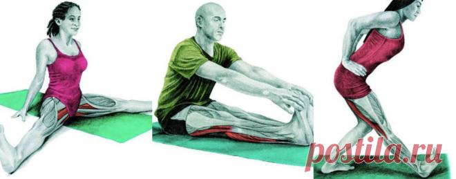 Растяжка ног: 10 эффективных упражнений для растяжки