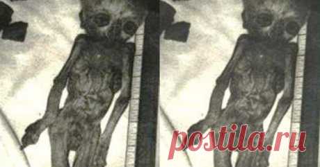 10 невероятных открытий, которые не в силах объяснить историки