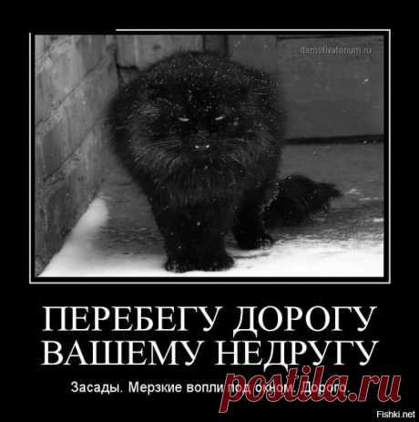 Насколько изощрённым может быть женское коварство
