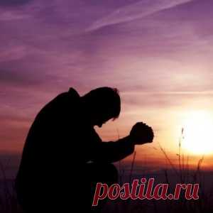 Новости - МирТесен