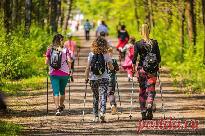 Скандинавская ходьба — отличный выбор для поддержания здоровья позвоночника
Хотите начать двигаться, похудеть, проводить больше времени на свежем воздухе, но не знаете, как это сделать? Попробуйте скандинавскую ходьбу. Скандинавская ходьба — это сочетание ходьбы с техникой отталкивания от земли с использованием специально разработанных палок, имеющее ряд преимуществ . Использование рук при ходьбе...
Читай дальше на сайте. Жми подробнее ➡