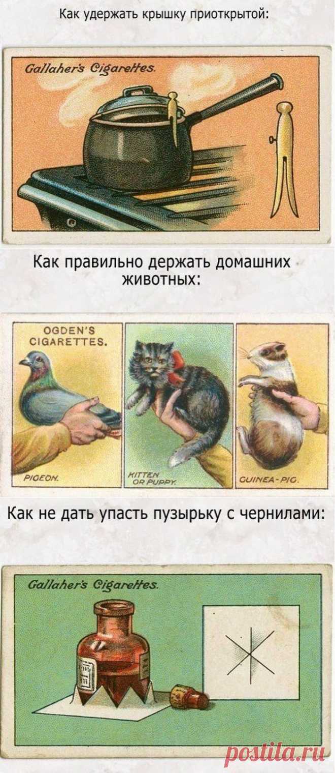 Житейские хитрости