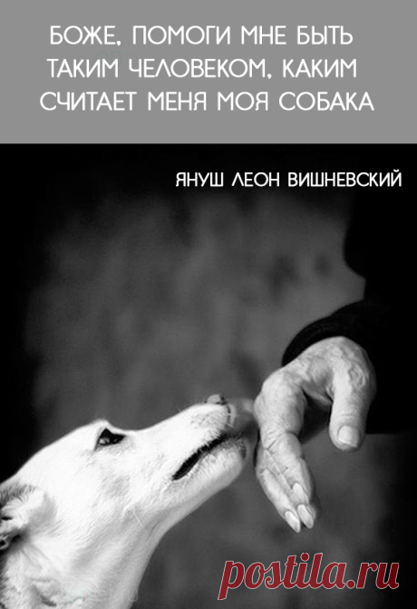(58) Econet.ru - Главная