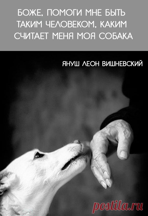(58) Econet.ru - Главная