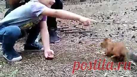 video-cbc3a8e03d0e775359700ea0bbb01b59-V.mp4