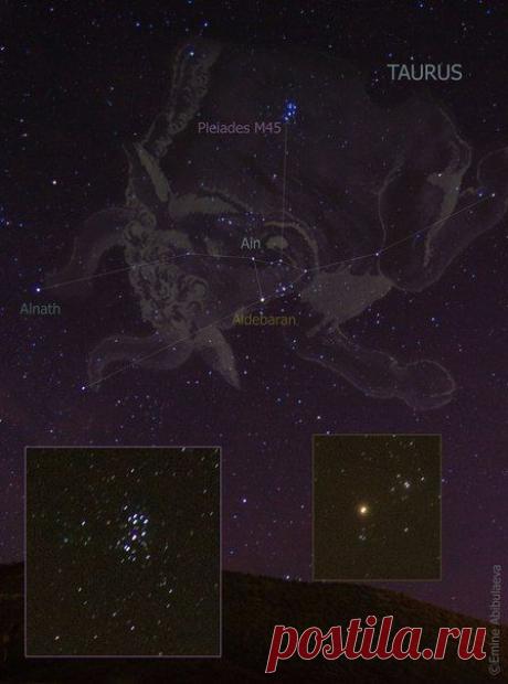 Созвездие Тельца / Социальная погода