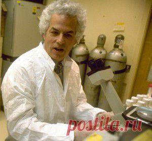 9 странных историй о человеческом мозге • Пабли