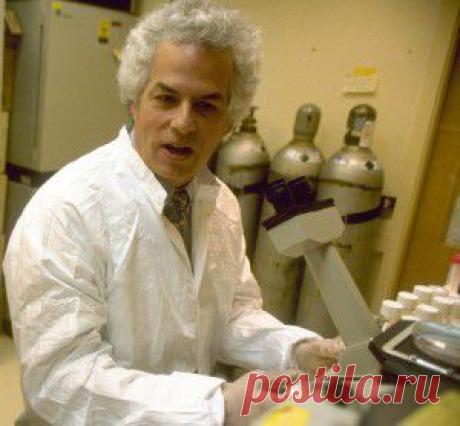 9 странных историй о человеческом мозге • Пабли